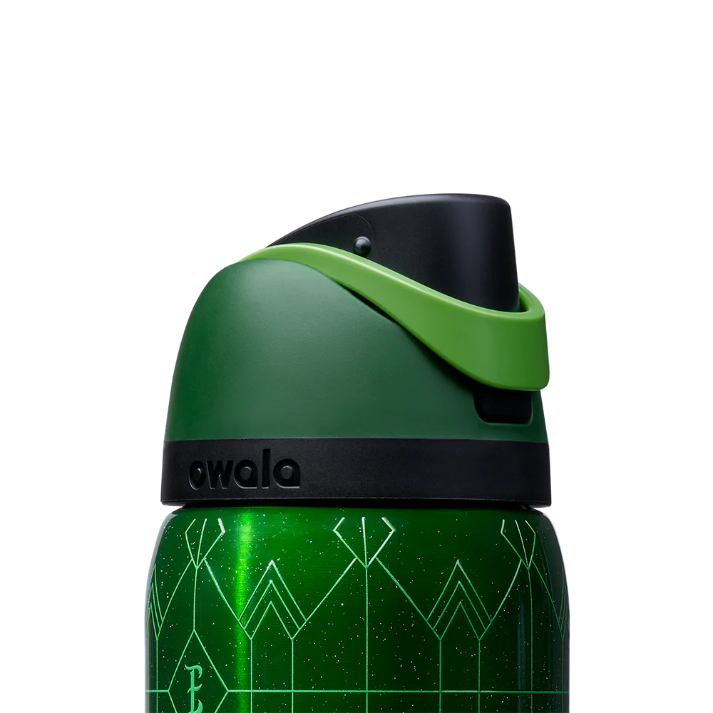 Wicked For Good Owala FreeSip 32oz