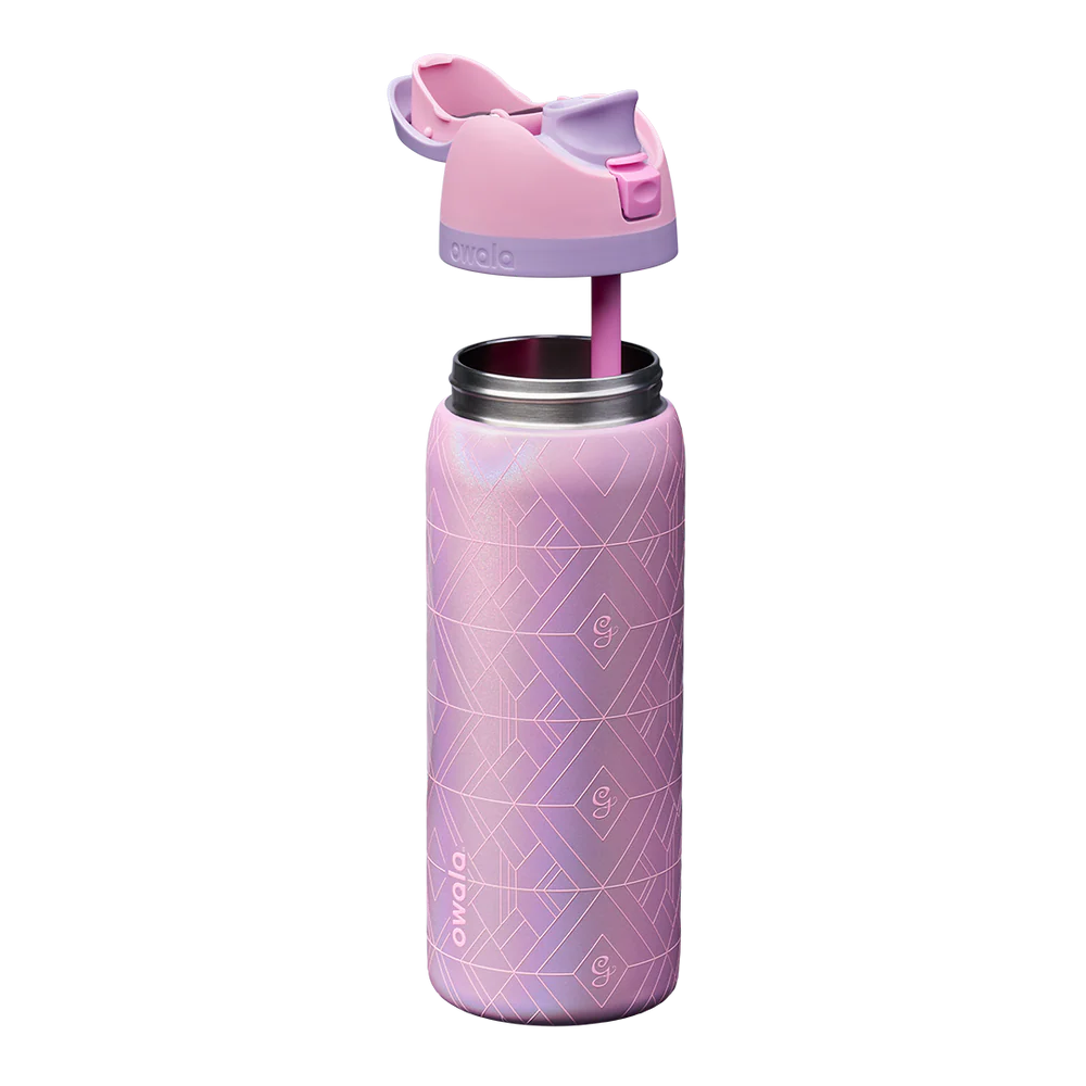 Wicked For Good Owala FreeSip 32oz