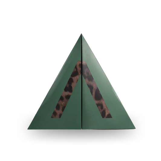 ACTA ADVENT CALENDAR